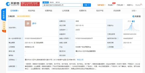 愛奇藝在重慶成立科技公司，拓展創(chuàng)業(yè)空間與信息系統(tǒng)集成服務